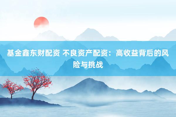 基金鑫东财配资 不良资产配资：高收益背后的风险与挑战