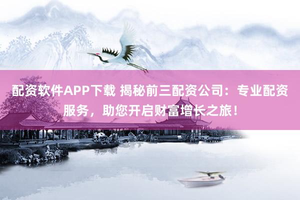 配资软件APP下载 揭秘前三配资公司：专业配资服务，助您开启财富增长之旅！