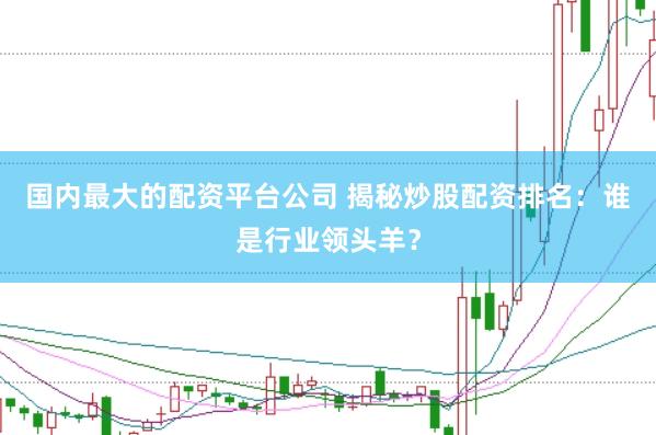 国内最大的配资平台公司 揭秘炒股配资排名：谁是行业领头羊？
