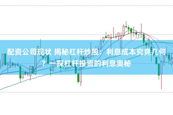 配资公司现状 揭秘杠杆炒股：利息成本究竟几何？一探杠杆投资的利息奥秘