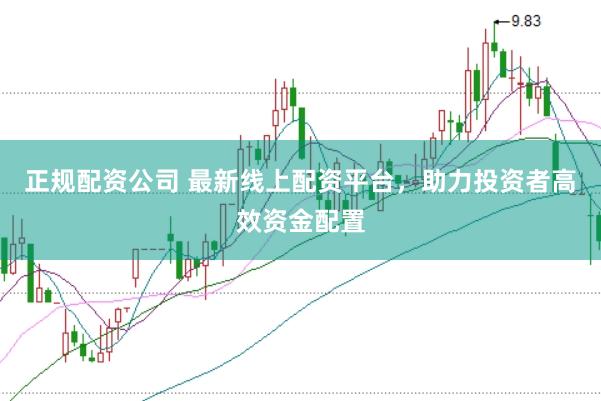正规配资公司 最新线上配资平台，助力投资者高效资金配置