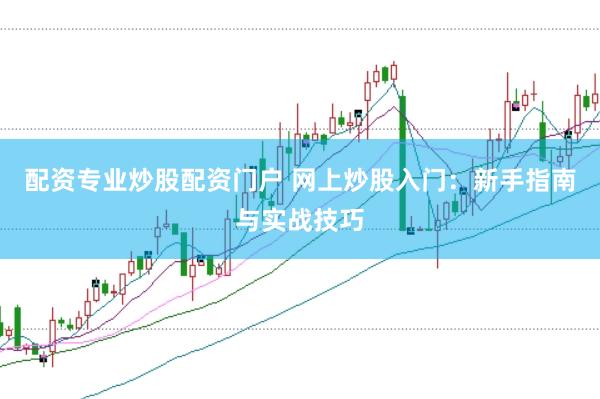 配资专业炒股配资门户 网上炒股入门：新手指南与实战技巧
