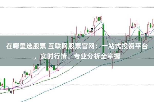 在哪里选股票 互联网股票官网：一站式投资平台，实时行情、专业分析全掌握