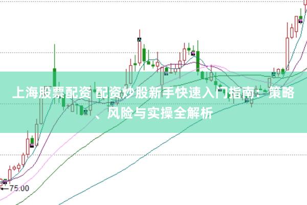 上海股票配资 配资炒股新手快速入门指南：策略、风险与实操全解析