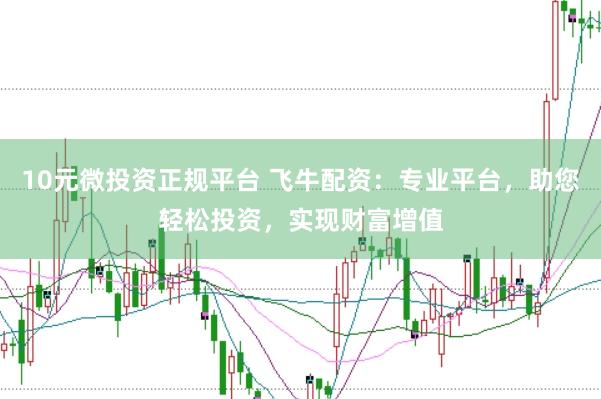 10元微投资正规平台 飞牛配资：专业平台，助您轻松投资，实现财富增值