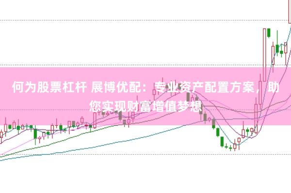 何为股票杠杆 展博优配：专业资产配置方案，助您实现财富增值梦想