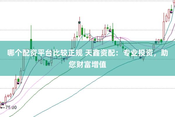 哪个配资平台比较正规 天鑫资配：专业投资，助您财富增值