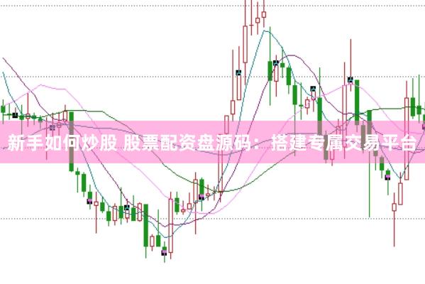 新手如何炒股 股票配资盘源码：搭建专属交易平台