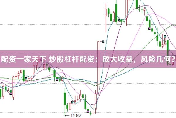配资一家天下 炒股杠杆配资：放大收益，风险几何？