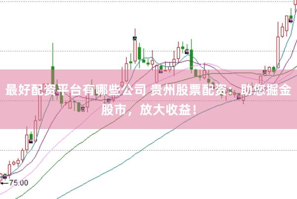 最好配资平台有哪些公司 贵州股票配资：助您掘金股市，放大收益！