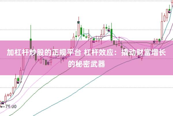加杠杆炒股的正规平台 杠杆效应：撬动财富增长的秘密武器