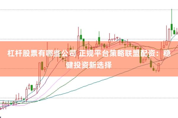 杠杆股票有哪些公司 正规平台策略联盟配资：稳健投资新选择