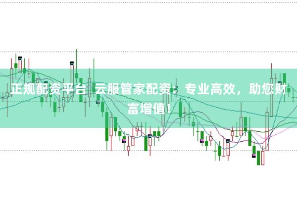 正规配资平台  云服管家配资：专业高效，助您财富增值！