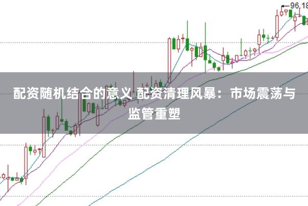 配资随机结合的意义 配资清理风暴：市场震荡与监管重塑