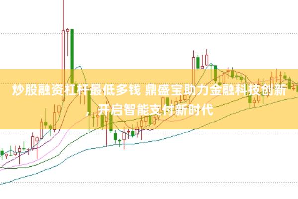 炒股融资杠杆最低多钱 鼎盛宝助力金融科技创新，开启智能支付新时代