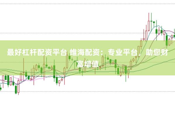 最好杠杆配资平台 维海配资：专业平台，助您财富增值