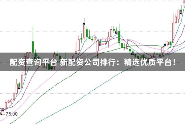 配资查询平台 新配资公司排行：精选优质平台！