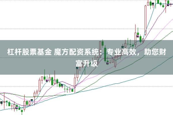 杠杆股票基金 魔方配资系统：专业高效，助您财富升级