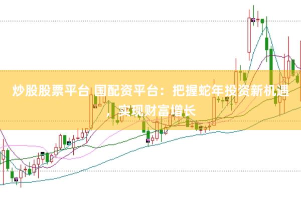 炒股股票平台 国配资平台：把握蛇年投资新机遇，实现财富增长