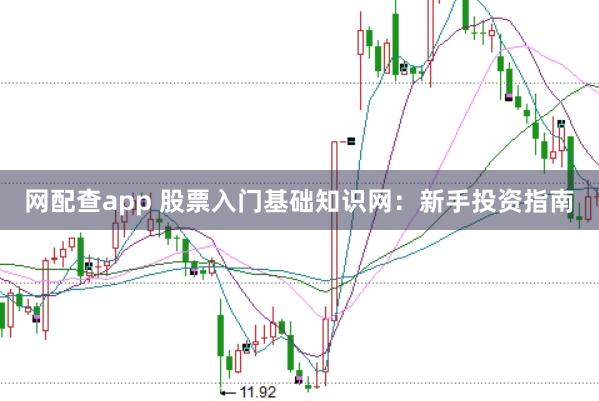 网配查app 股票入门基础知识网：新手投资指南