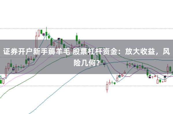 证券开户新手薅羊毛 股票杠杆资金：放大收益，风险几何？