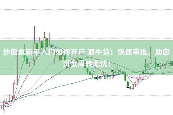 炒股票新手入门如何开户 顶牛贷:快速审批,助您资金周转无忧!