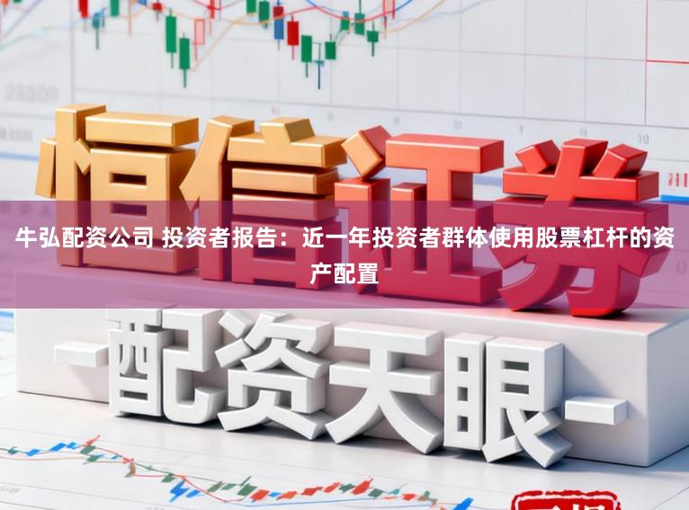 牛弘配资公司 投资者报告:近一年投资者群体使用股票杠杆的资产配置