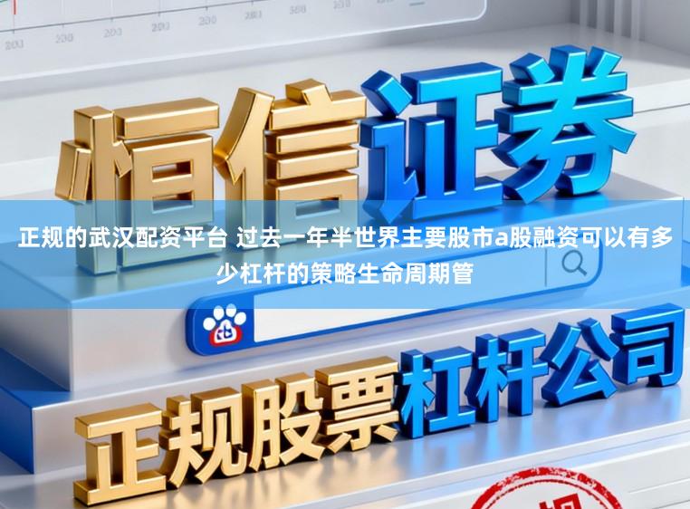 正规的武汉配资平台 过去一年半世界主要股市a股融资可以有多少杠杆的策略生命周期管