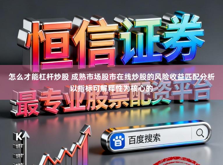 怎么才能杠杆炒股 成熟市场股市在线炒股的风险收益匹配分析以指标可解释性为核心的