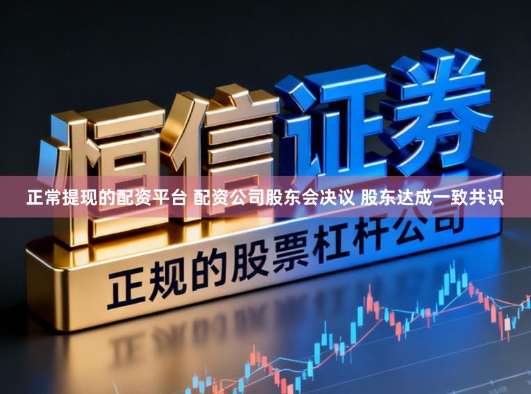 正常提现的配资平台 配资公司股东会决议 股东达成一致共识